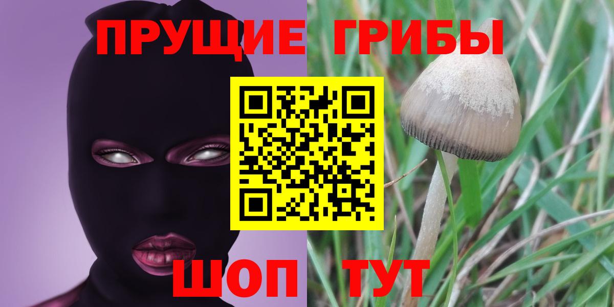 Псилоцибиновые грибы Cubensis  Псилоцибиновые грибы мухоморы  продажа наркотиков  Вход с VPN  Всеволожск 