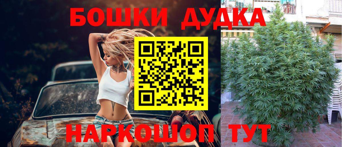 Бошки марихуана план  Вход с VPN  МАРИХУАНА конопля  Всеволожск 